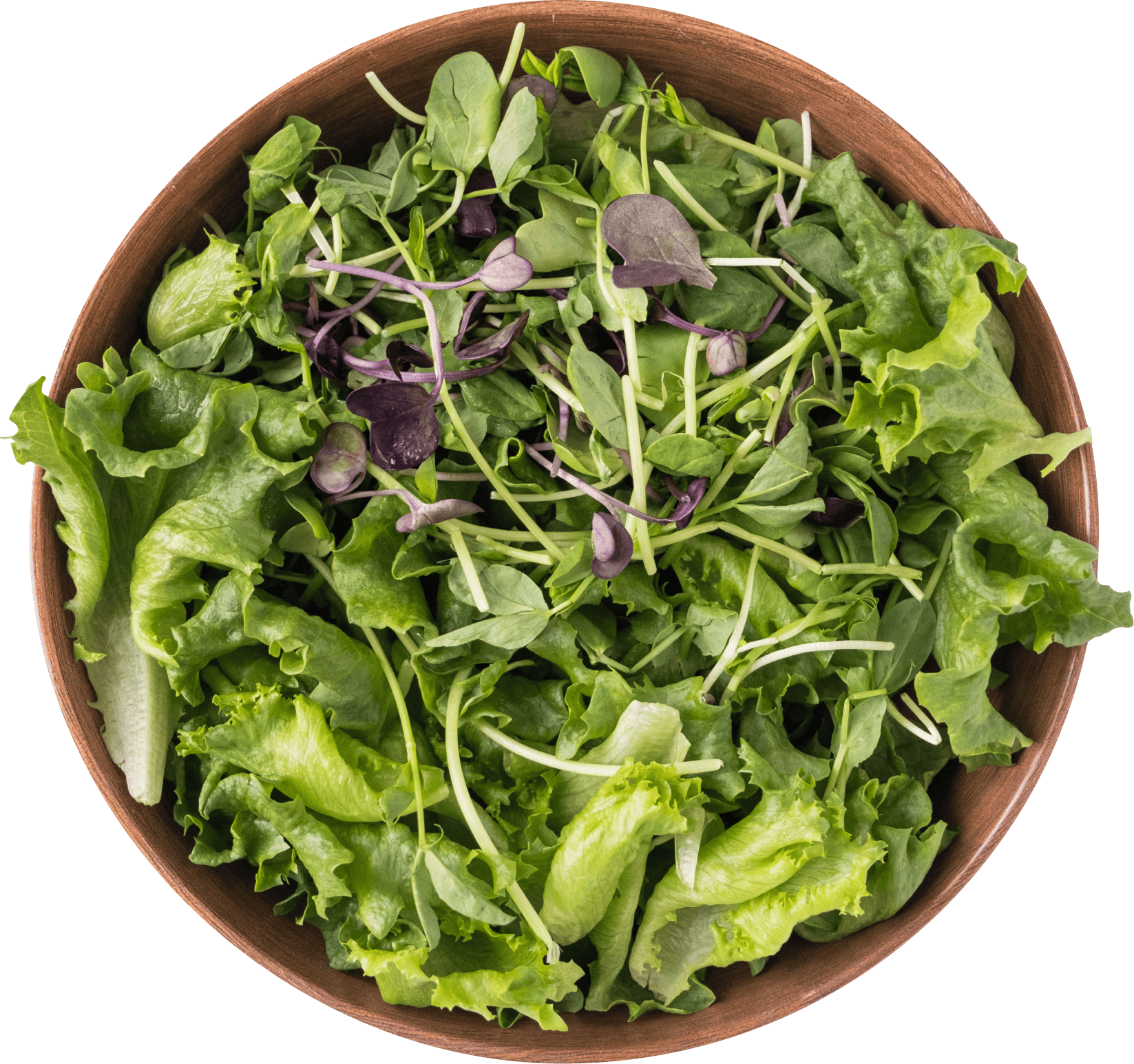Bowl Of Canadian Grown Microgreens And Lettuce Png